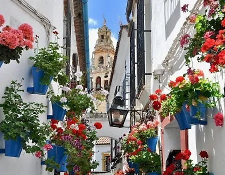 Casa De Flores 아파트 *